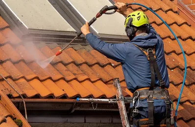 Démoussage et hydrofuge de toiture à Alliat
